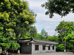 -文瀛公园