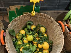 -红日饭店(裕隆三路店)