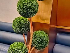 -Hi City·城市之巅