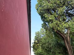 -北京市劳动人民文化宫(太庙)