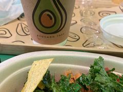 -油梨树AVOCADO TREE(望京店)