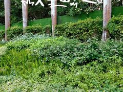 -深圳龙潭公园