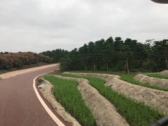 -迪茵湖田家舍生态农场