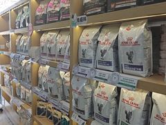 -美联众合动物医院·24h转诊中心