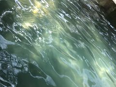-青岛海泉湾度假区温泉