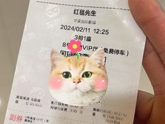 -华美国际影城(旧宫永辉店)