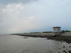 -上海崇明金茂凯悦酒店