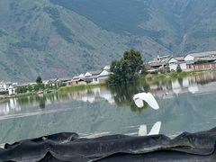 -大理洱源西湖景区