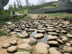-洋湖国家湿地公园