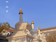 -西安市广仁寺