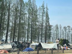 -上海美帆帆船露营基地