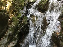 -藏龙百瀑风景区