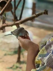 -酷嗒动物文化乐园(cutezoo西溪乐天城店)