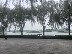 -白洋淀景区