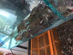 -百丰园海鲜烧烤农家菜(威·至海港湾店)
