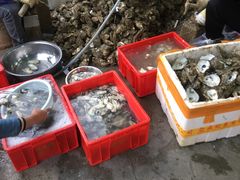 -花苑美食横琴生蚝火锅(拱北粤华路店)