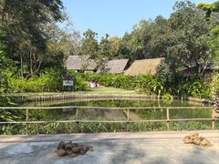 -大象粑粑造纸公园