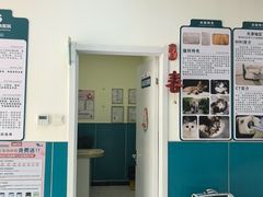 -乖乖宠物医院·猫科·急重症中心(车站北路分院)