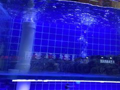 -海帮主·蒸汽海鲜青岛菜(栈桥火车站店)