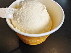 -Patagonia Chocolates(皇后镇店)