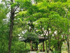 -四海公园(南山区)