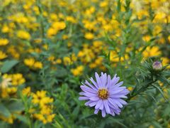 -北京植物园南门售票处