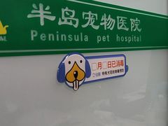 -半岛宠物医院24小时(科华中路店)