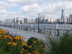 -北外滩滨江绿地