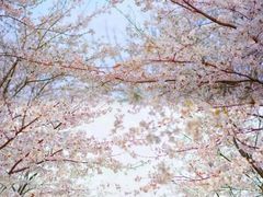 -苏州上方山国家森林公园