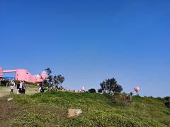 -漳州滨海火山岛自然生态风景区