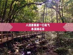 -本溪汤沟绿石谷森林公园