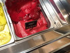 -Patagonia Chocolates(皇后镇店)