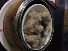 糖朝-糖朝(尖沙咀店)