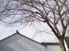 -河姆渡遗址博物馆