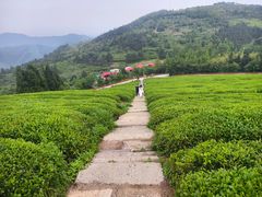 -东白山