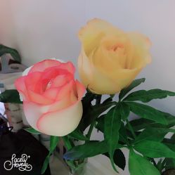 -木北造型