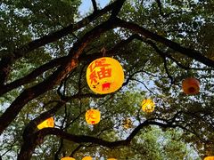 -景德镇陶阳里历史文化旅游区