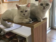 -青春加萌照相馆