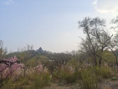 -北山公园