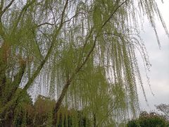 -石湖景区