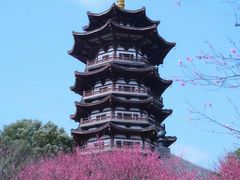 -洋湖国家湿地公园