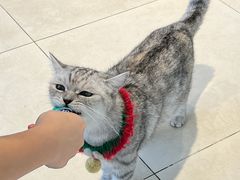 -怪兽屋·羊驼·猫咖·狗咖(俊华广场店)