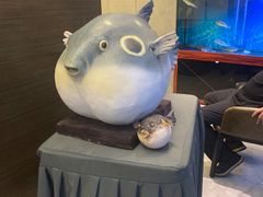 -肆月河豚·新淮扬(金融街店)