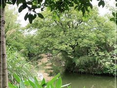 -西溪国家湿地公园