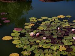 -国家植物园南园