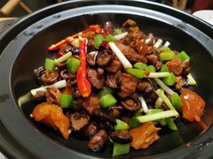 小香菇焖香肘-赤宴·川菜(玉林店)