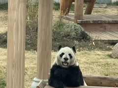 -无锡动物园·太湖欢乐园