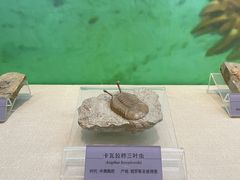 -国家自然博物馆