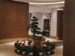 包厢-松鹤楼(狮山永利广场店)