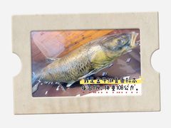 -南京金牛湖风景区